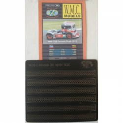 MAN TGX Formula Truck 2013...