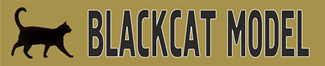 BlackCat Model